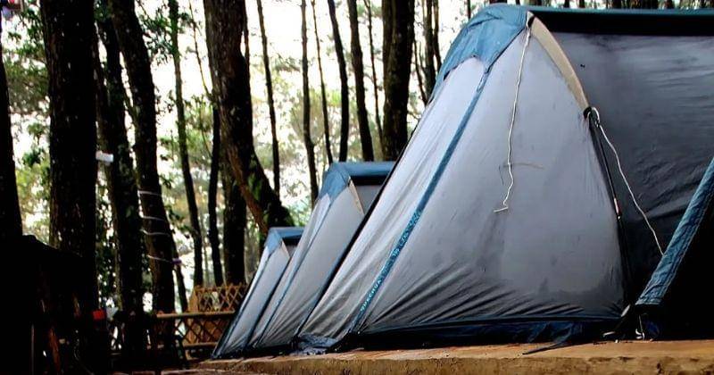 Instagram.com/talaga.surian_camp.park